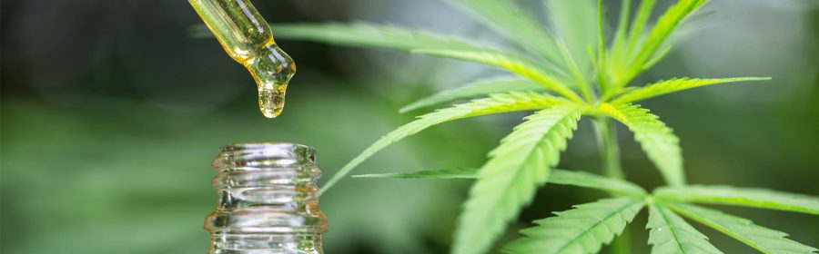 ce qu'il faut savoir sur le cbd